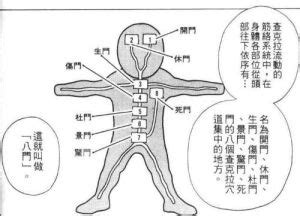 八門頓假|八門頓假何時用？專家揭秘